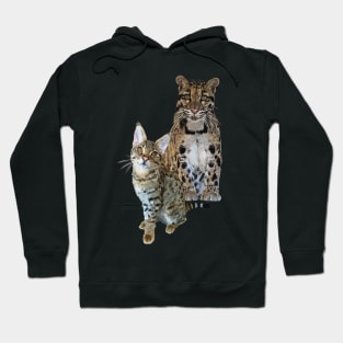 felines Hoodie